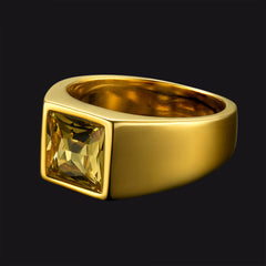 Anel minimalista com pedra preciosa para homens